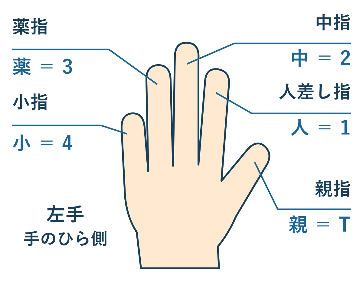左手の手のひらを見た模式図。指から伸ばした線で、人差し指は人または1、中指は中または2、薬指は薬または3、小指は小または4、親指は親またはTと対応。